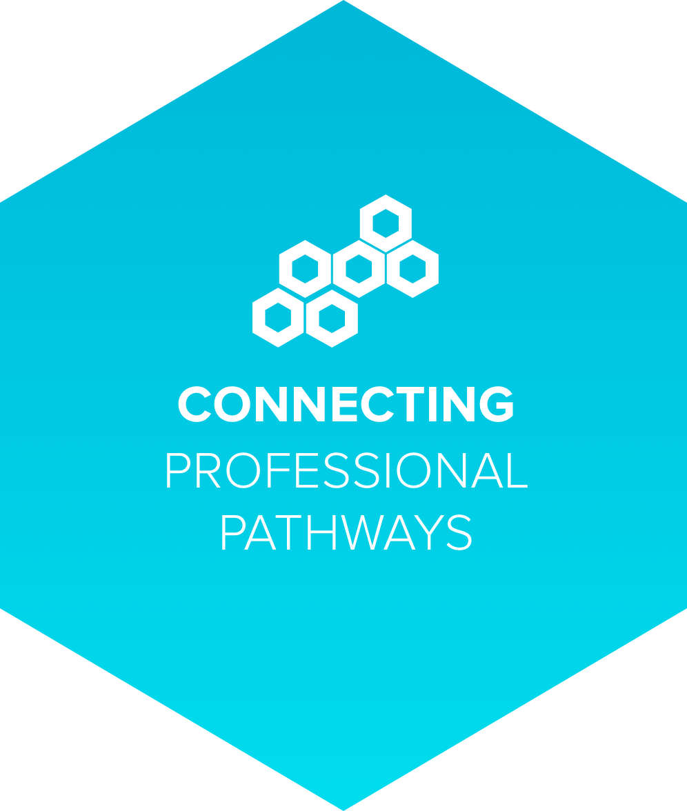 Connecting Professional Pathways