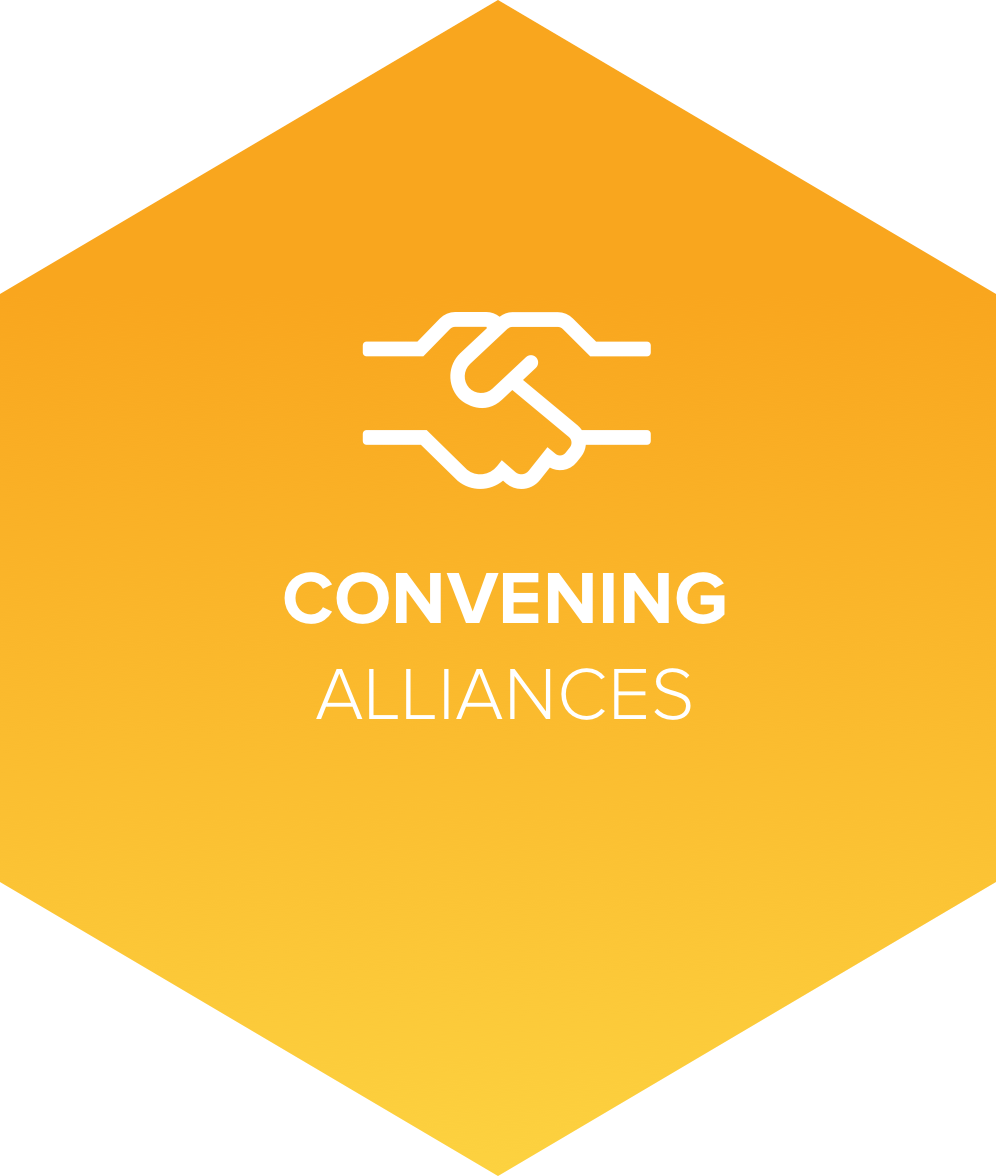 Convening Alliances